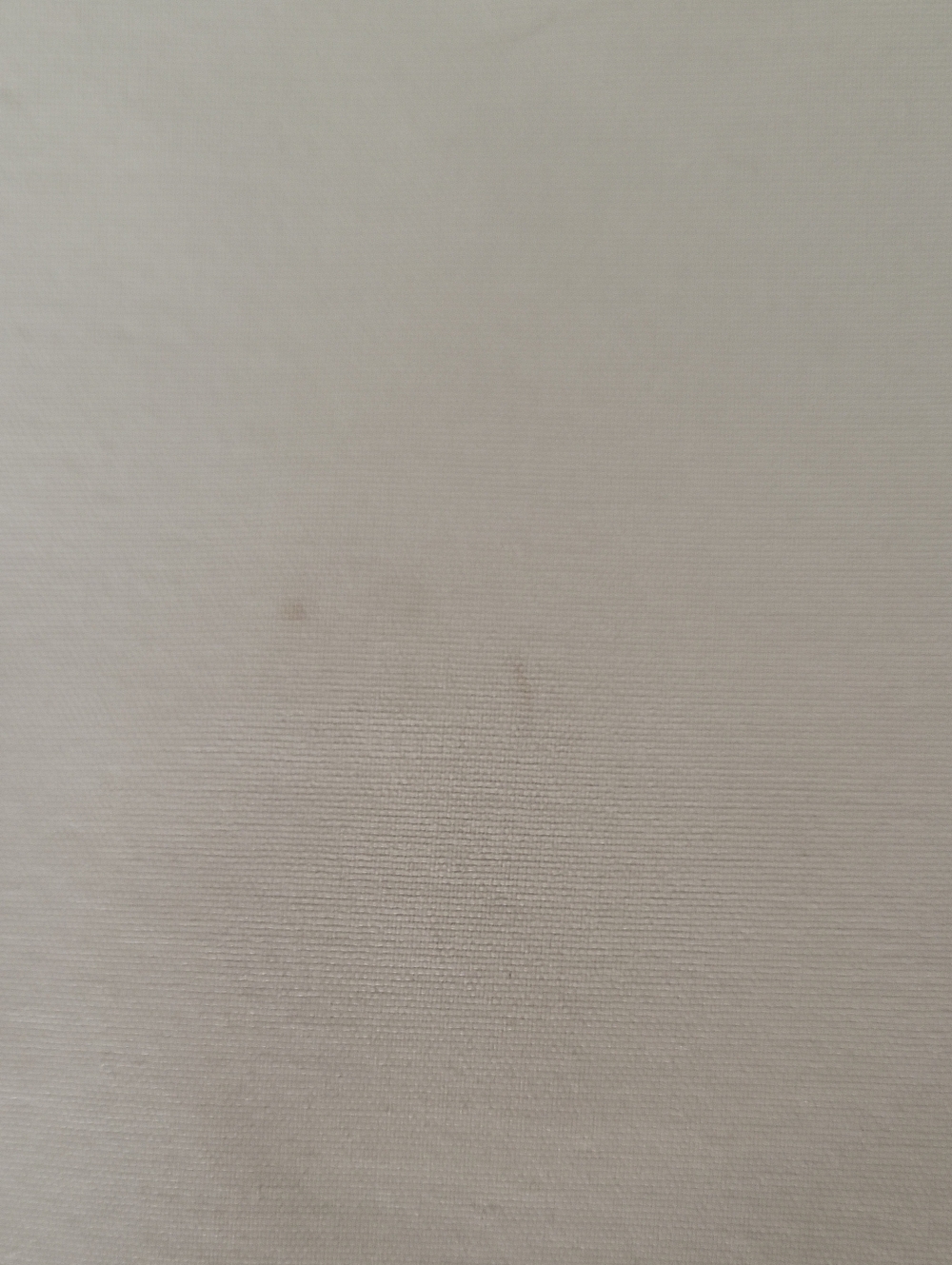 BYLT Shorts - Picture 5 of 5